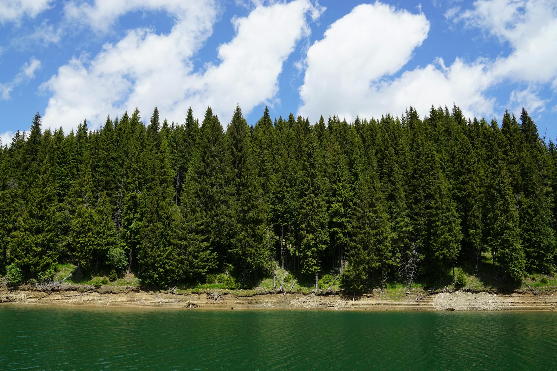 The Art of Writing Evergreen Content That Stands the Test of Time